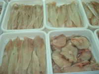 /album/fotos/pqaaagywurbnrwu-n97c-ftbodk6cc7vnwp0sfjipatnwlpuv9z-3shgepnjge1p-mmfrf6u3eukrmoz6ltujnahckoam1t1uloll6dsr8zcyqtnx4er2mr-2yn2-jpg/